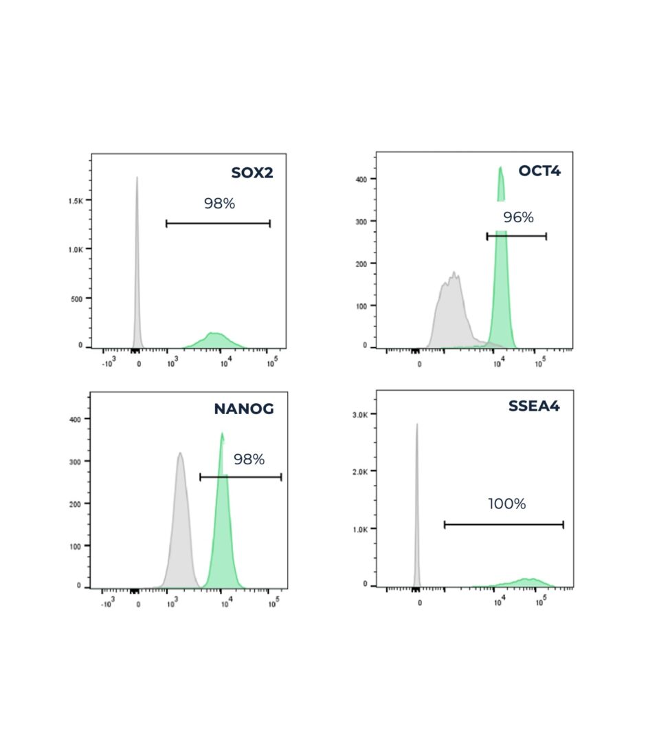 Bovine ESC flow cytometry analysis for pluripotency markers