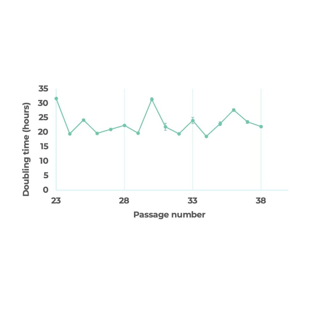 Ovine ESC doubling times during long-term stability study
