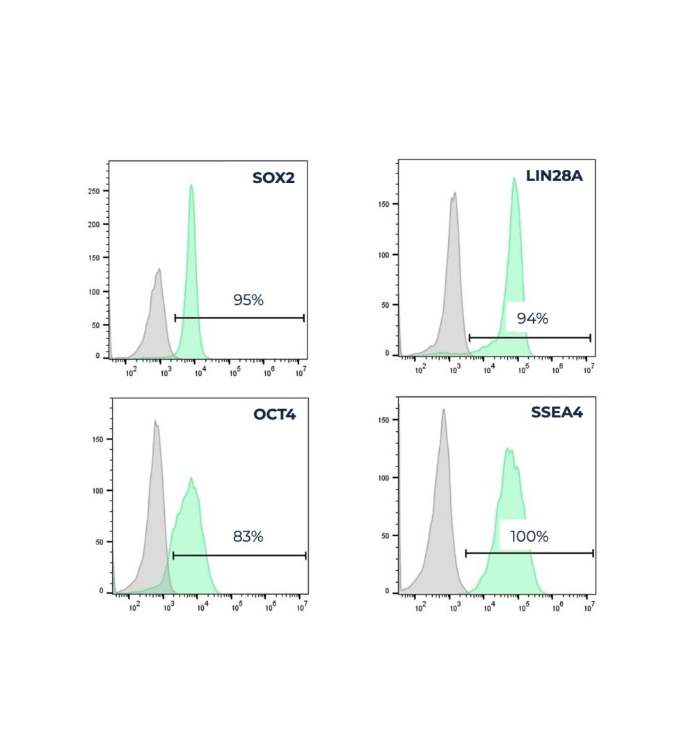 Ovine ESC flow cytometry analysis for pluripotency markers