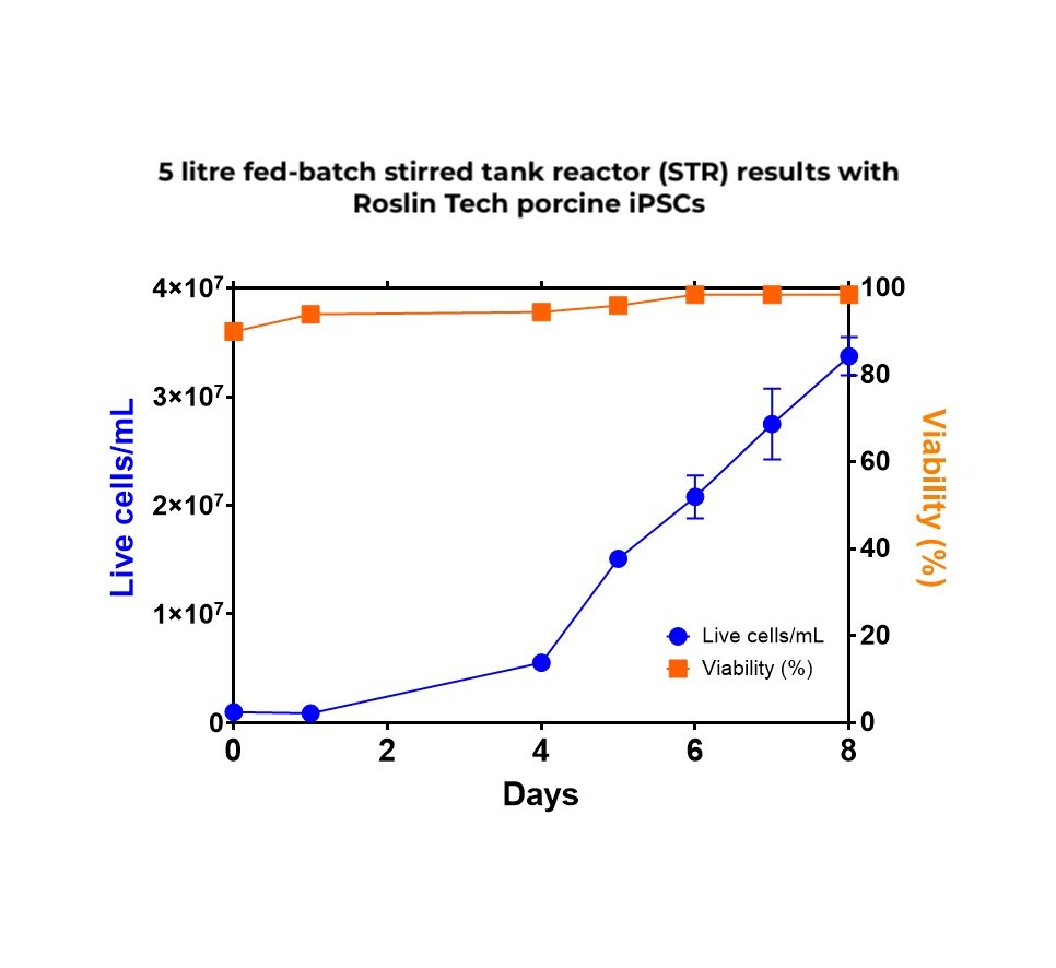 5 litre fed-batch stirred tank reactor (STR) results with Roslin Tech porcine iPSCs